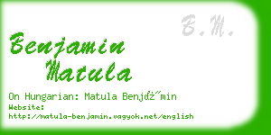 benjamin matula business card